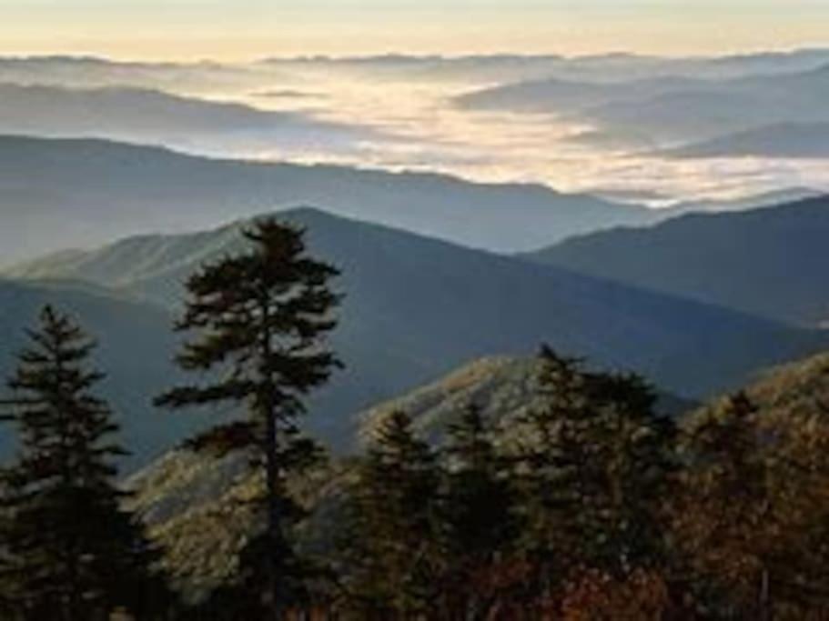 1 Mi To Dollywood Mins To All Attractions & Gsmnp Sevierville Exterior foto